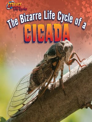 cover image of The Bizarre Life Cycle of a Cicada